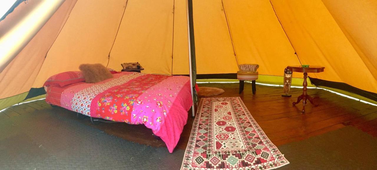 Bluebell Lane Glamping Hotell Newry Exteriör bild