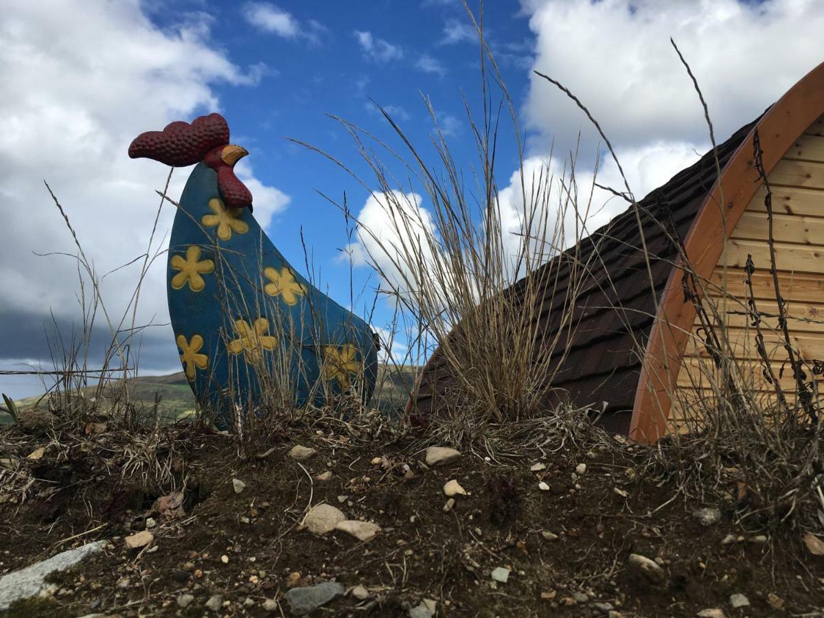 Bluebell Lane Glamping Hotell Newry Exteriör bild