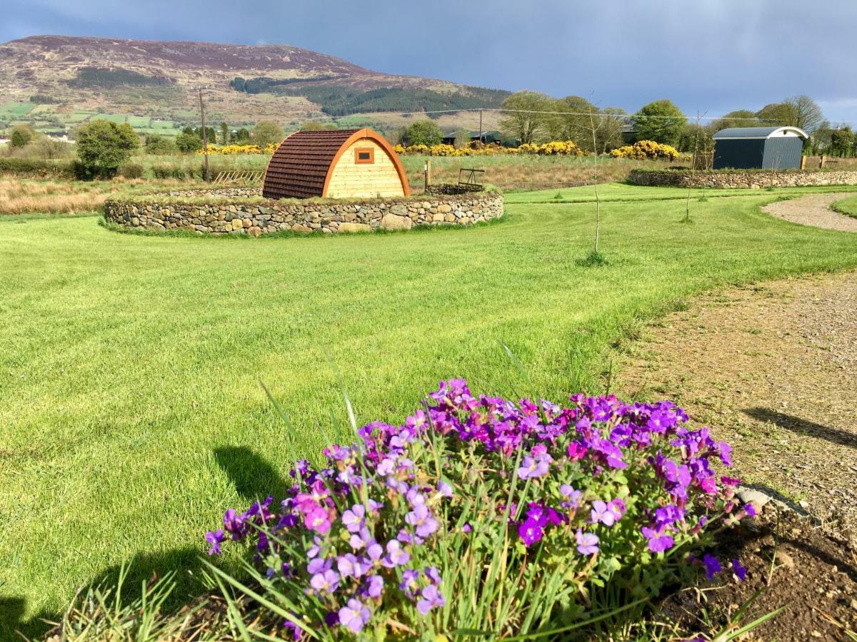 Bluebell Lane Glamping Hotell Newry Exteriör bild