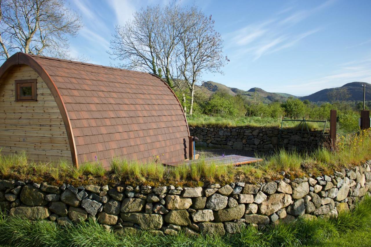 Bluebell Lane Glamping Hotell Newry Exteriör bild