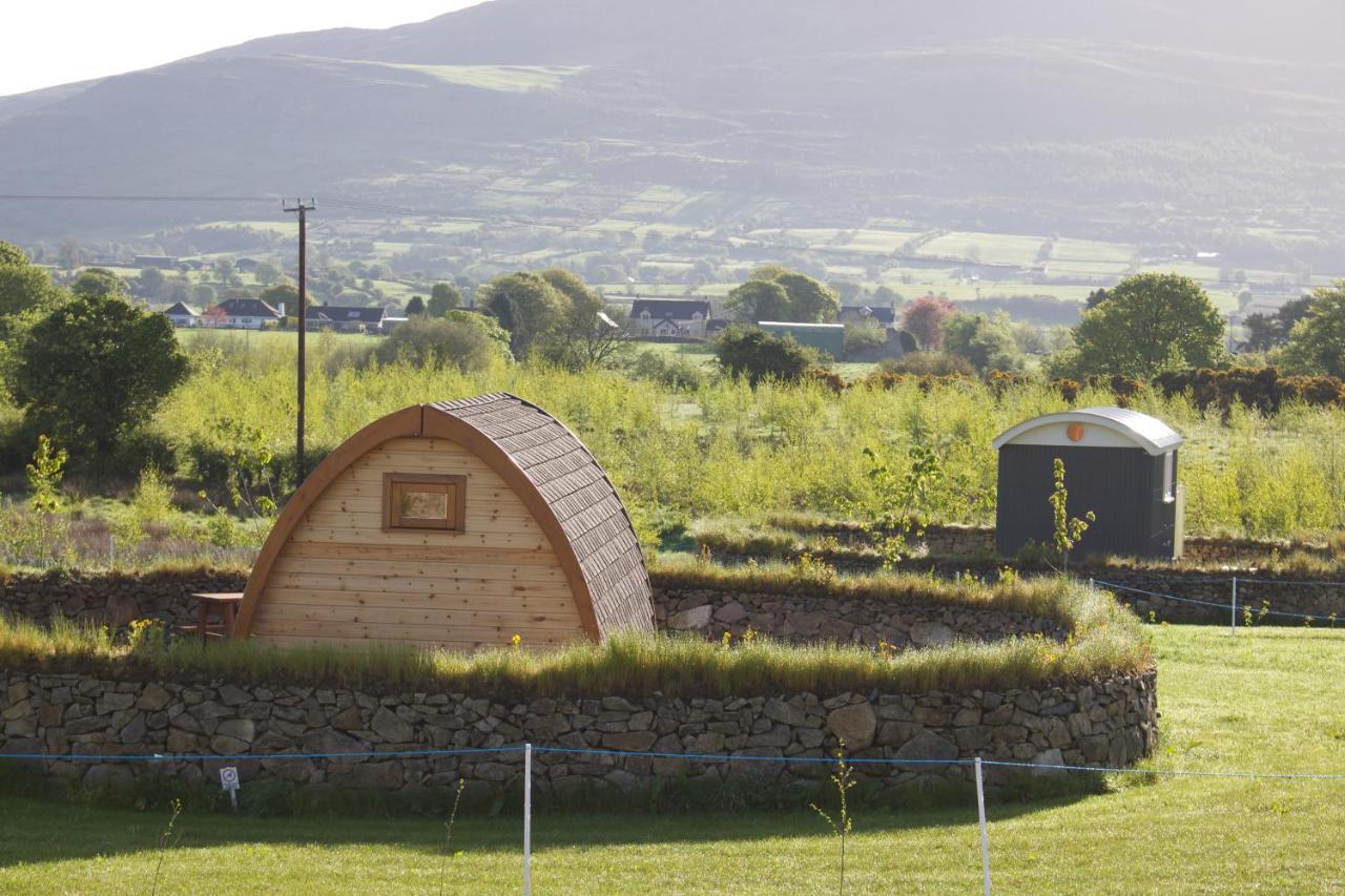 Bluebell Lane Glamping Hotell Newry Exteriör bild