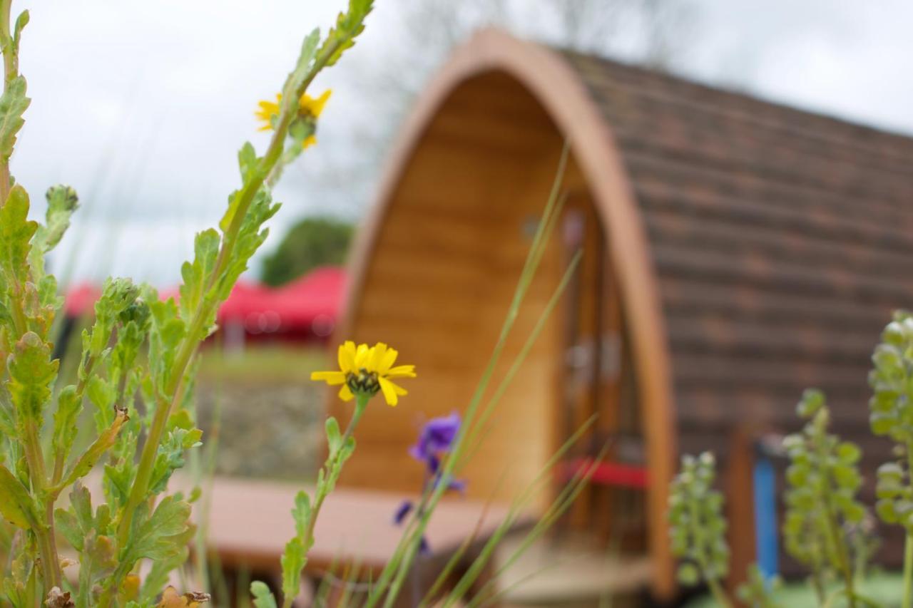 Bluebell Lane Glamping Hotell Newry Exteriör bild